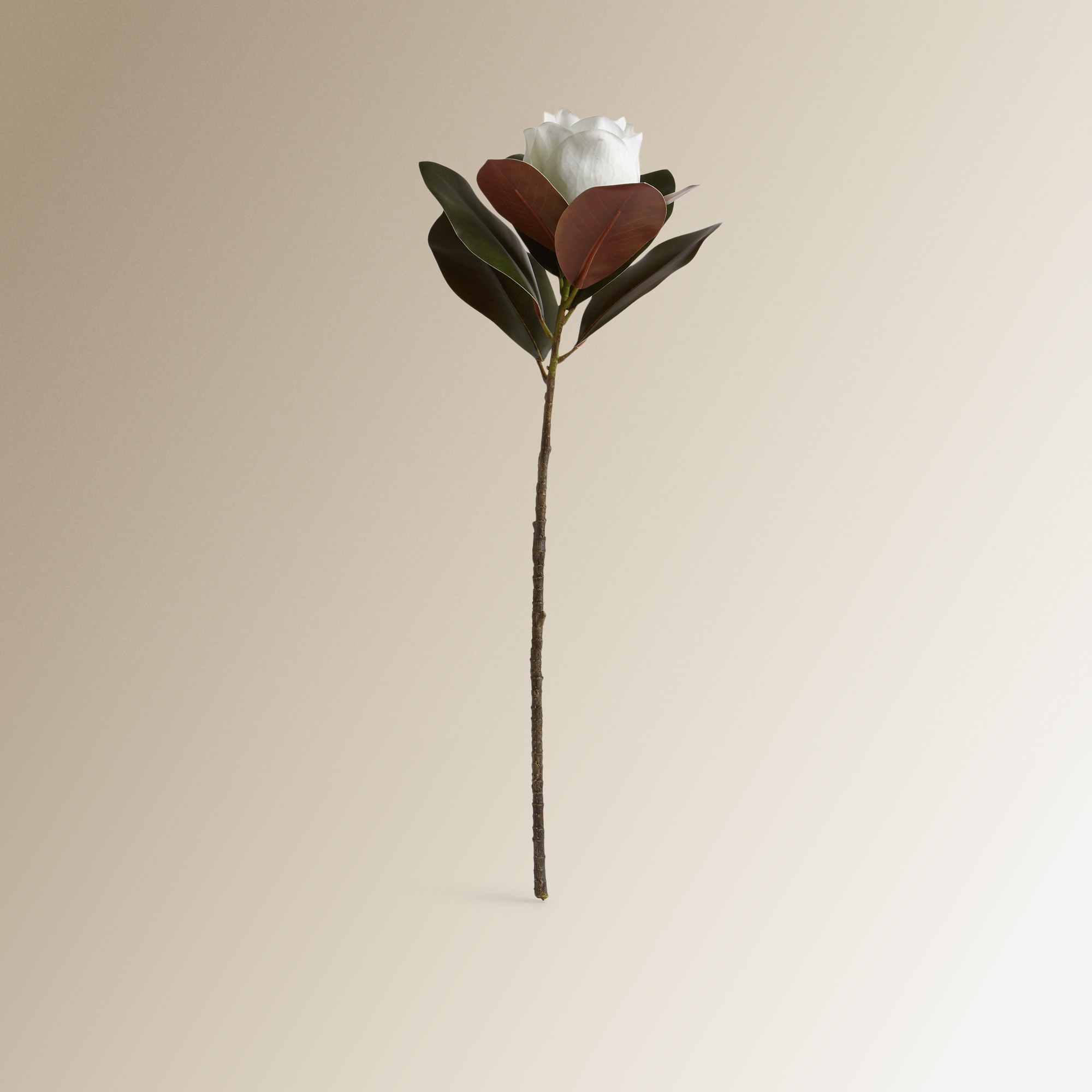 Ramo Artificial Magnólia Branco-1