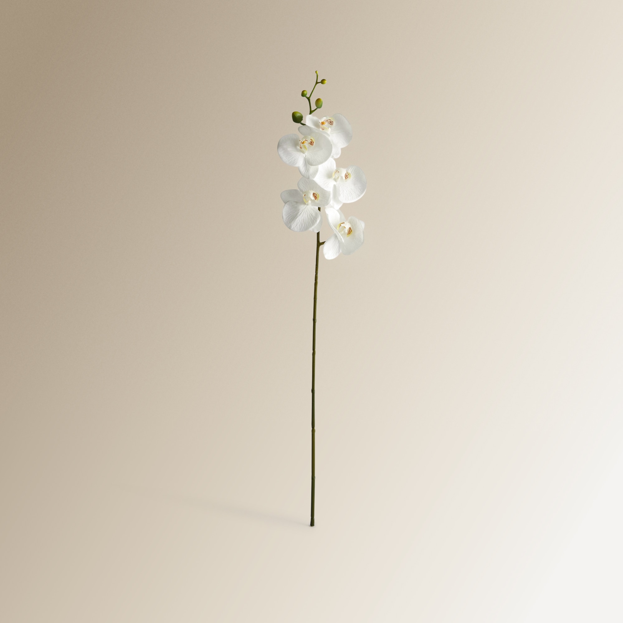 Ramo Artificial Orquídea Branco-1
