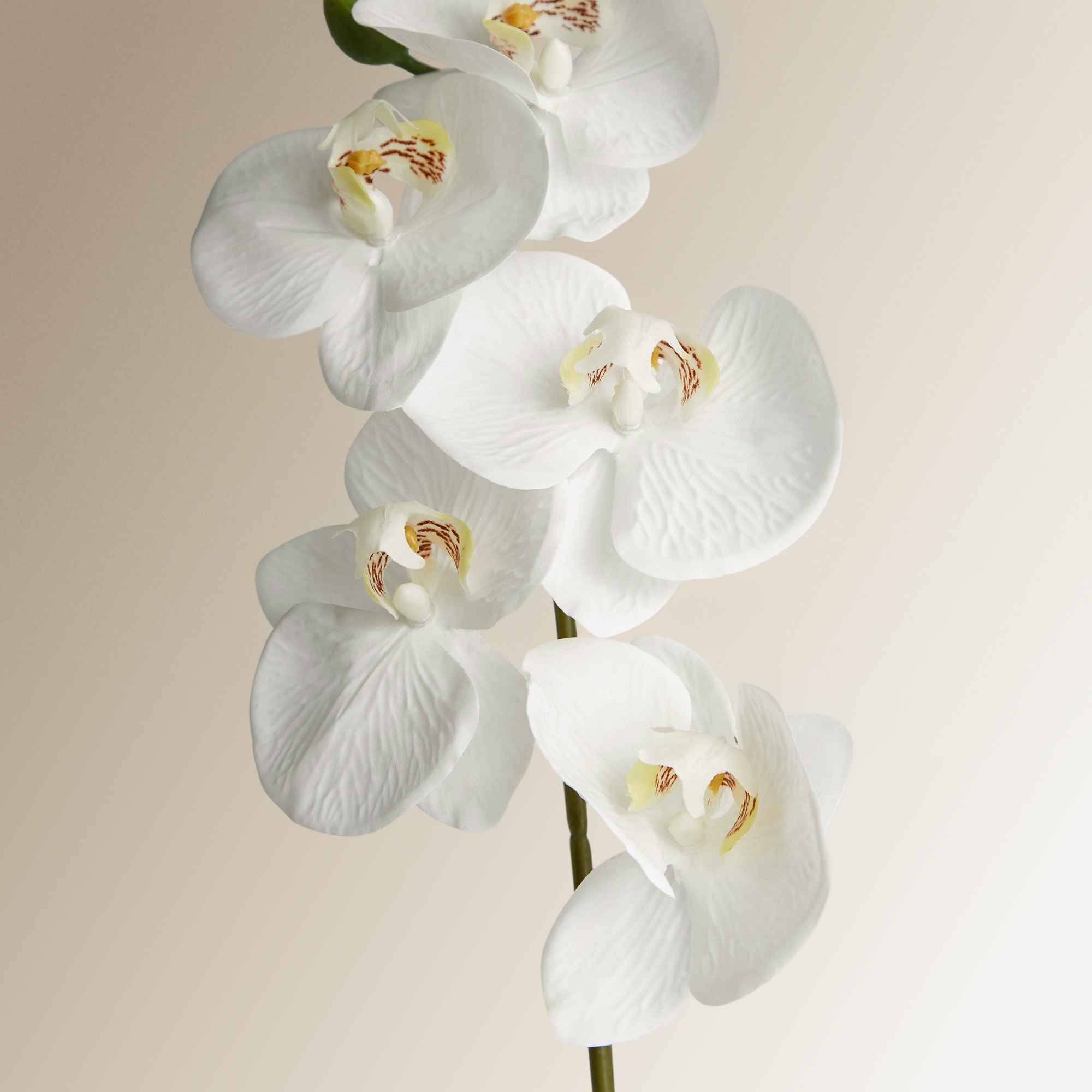 Ramo Artificial Orquídea Branco-2