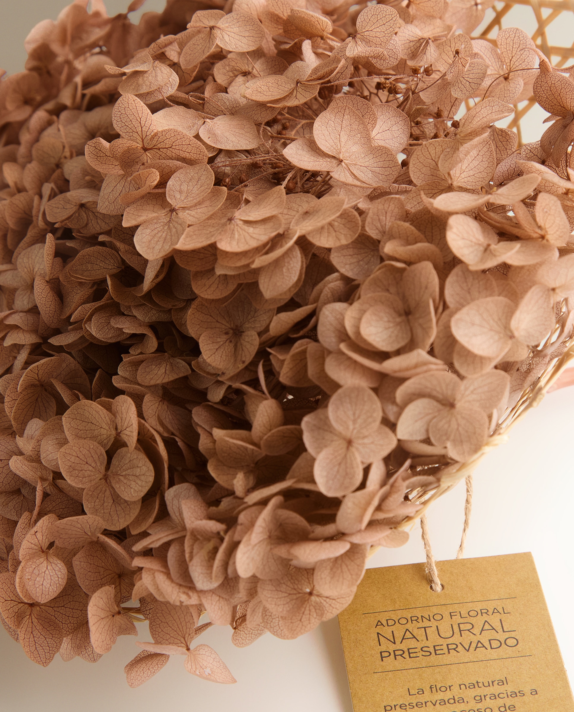 Ramo de Hortênsia Preservada Rosa-3