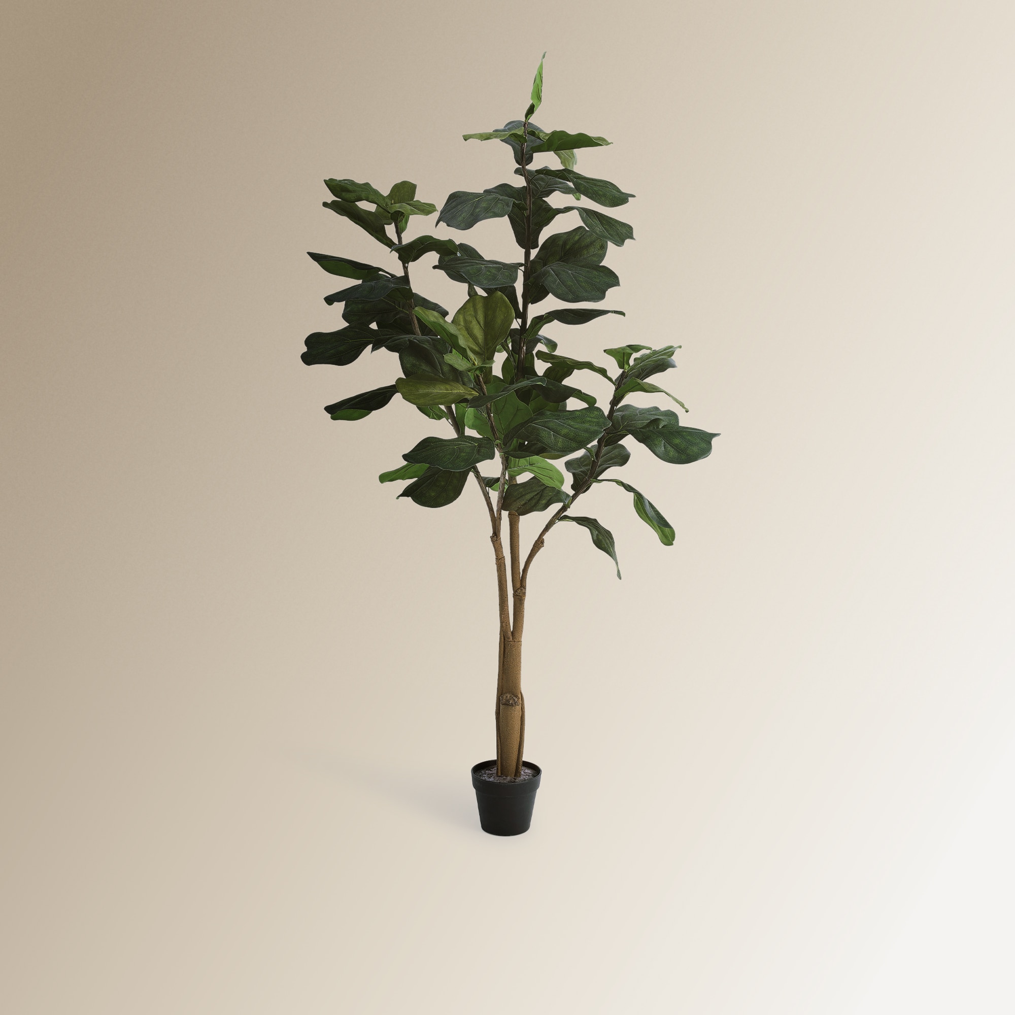 Imagem 0 de Árvore Artificial Ficus Lyrata - 180 cm