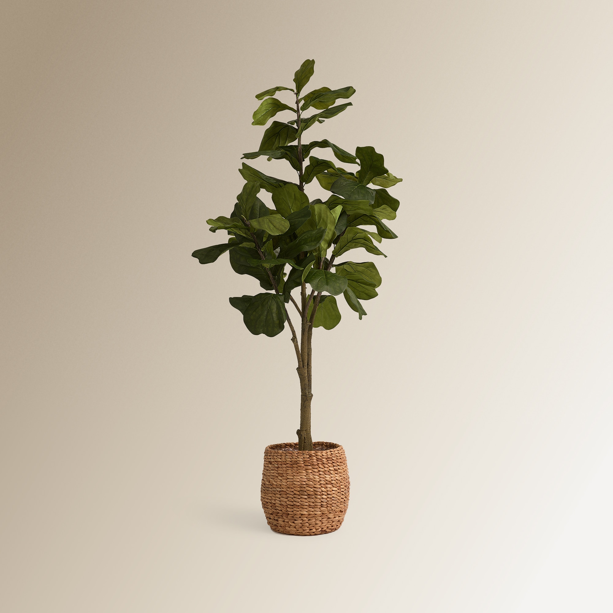 Árvore Artificial Ficus Lyrata - 180 cm Verde-4