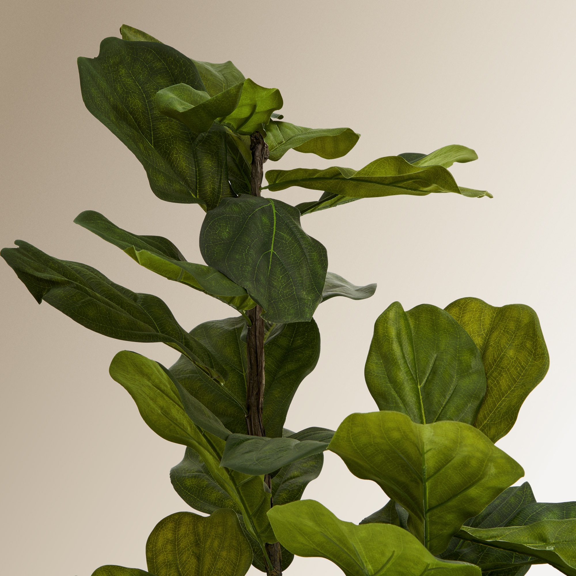 Árvore Artificial Ficus Lyrata - 150 cm Verde-2