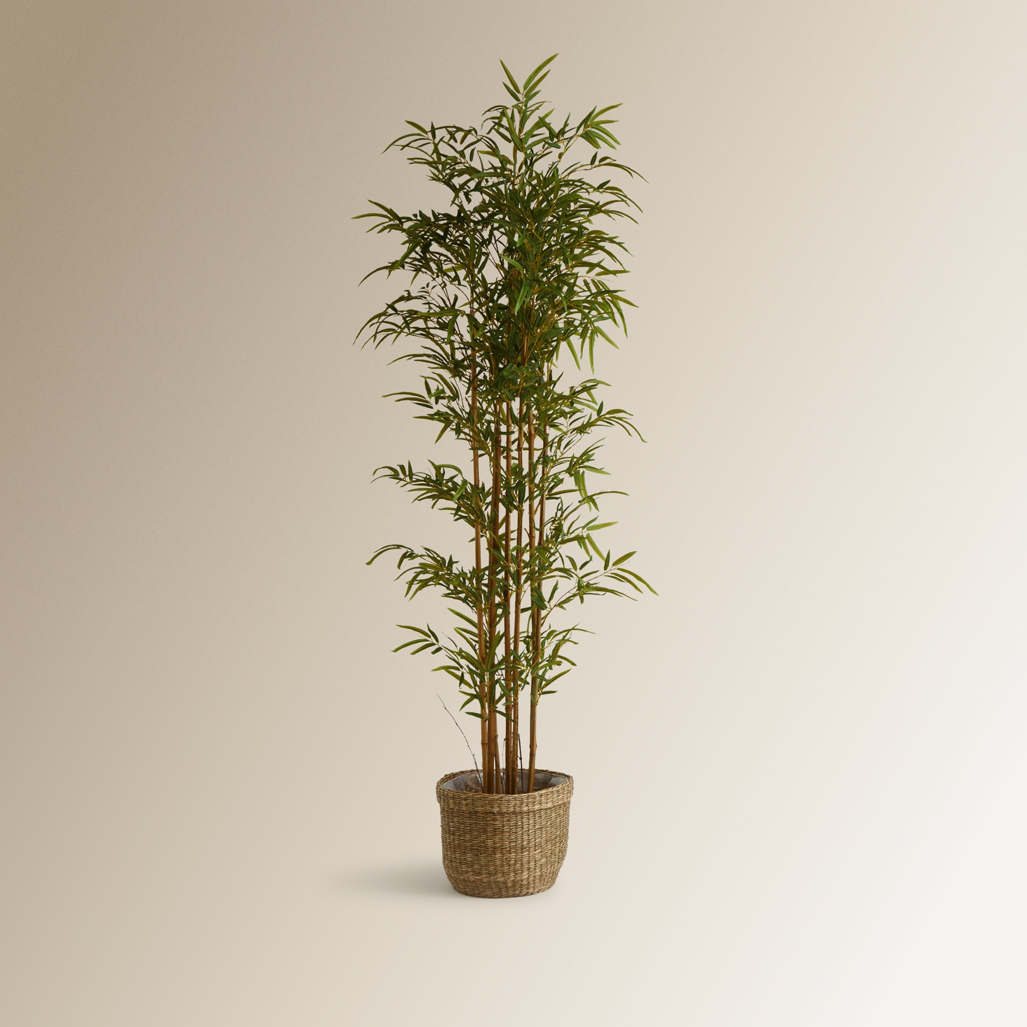 Árvore Artificial de Bambu - 180 cm Verde-4