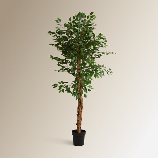 Árbol artificial Ficus Benjamina 180 cm El Corte Inglés