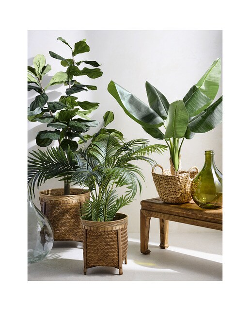 Árvore Artificial Ficus Benjamina - 180 cm Verde-5