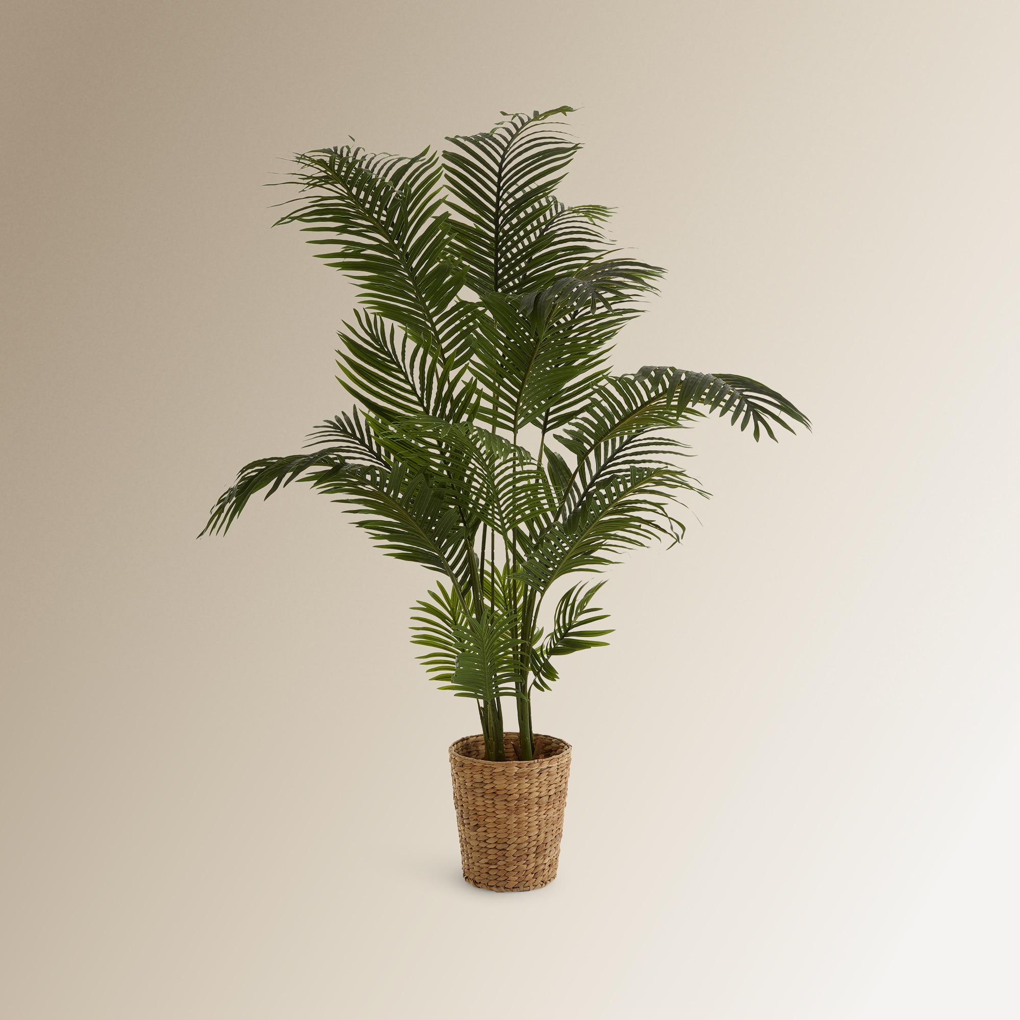 Árvore Artificial Areca - 170 cm Verde-4
