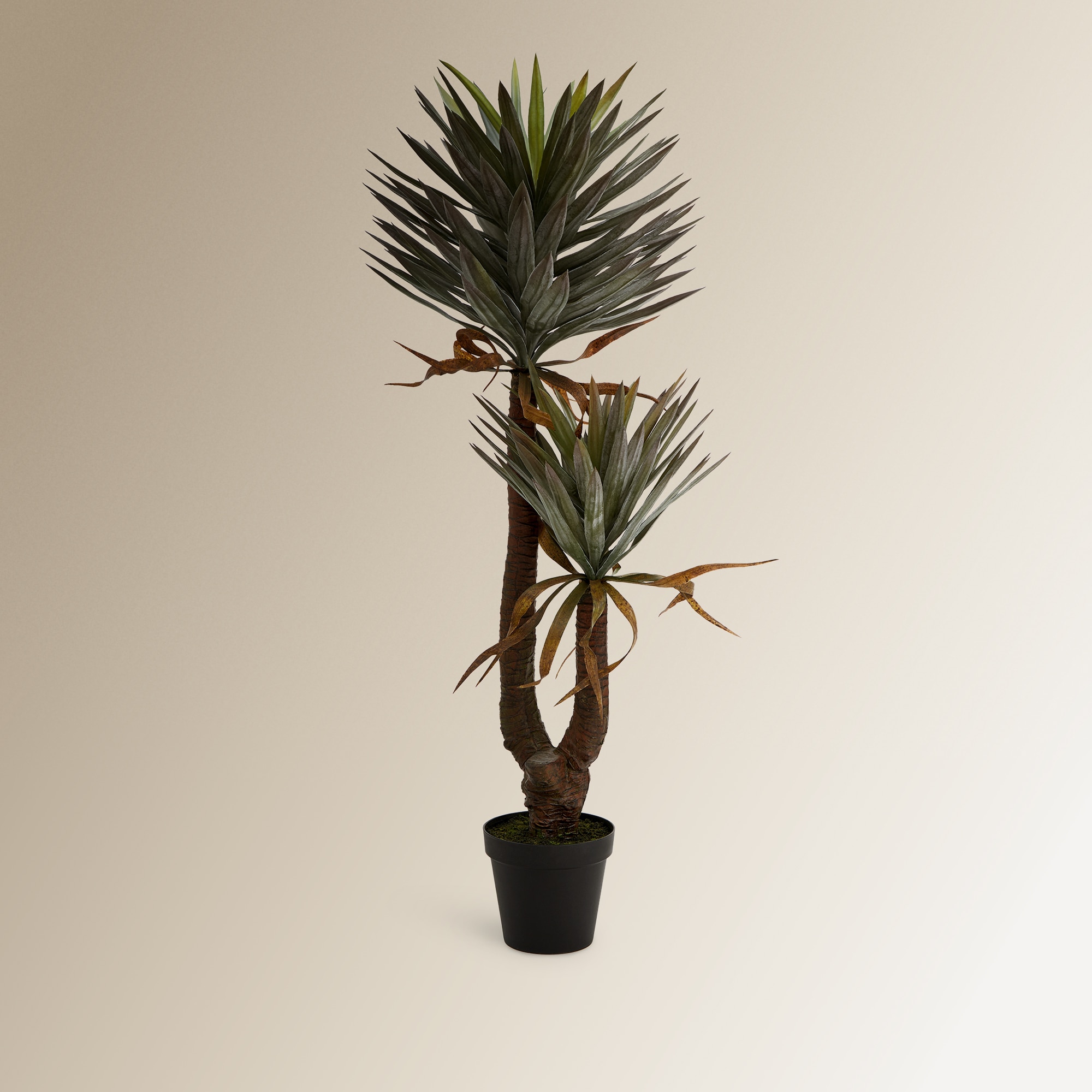 Árvore Artificial Yuca - 142 cm Verde-1