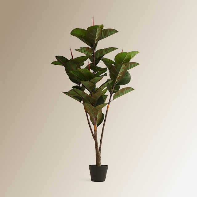 Imagen 0 de Árbol artificial Ficus Elástica 150 cm El Corte Inglés