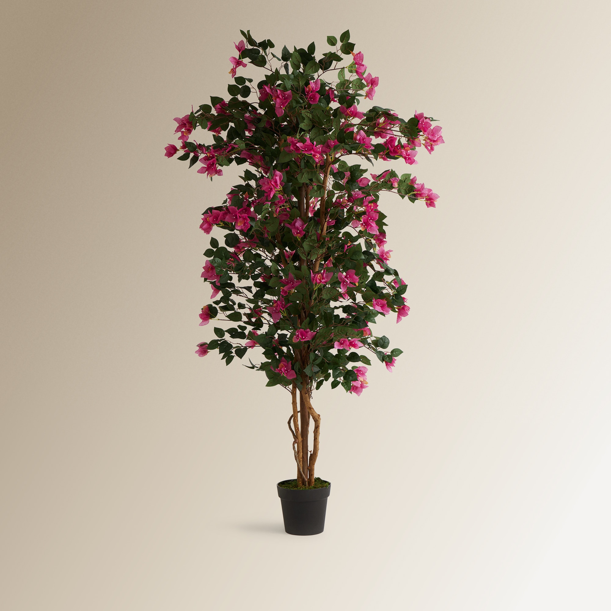 Imagen 1 de Árbol artificial de Buganvilla en maceta El Corte Inglés - Fucsia Fucsia
