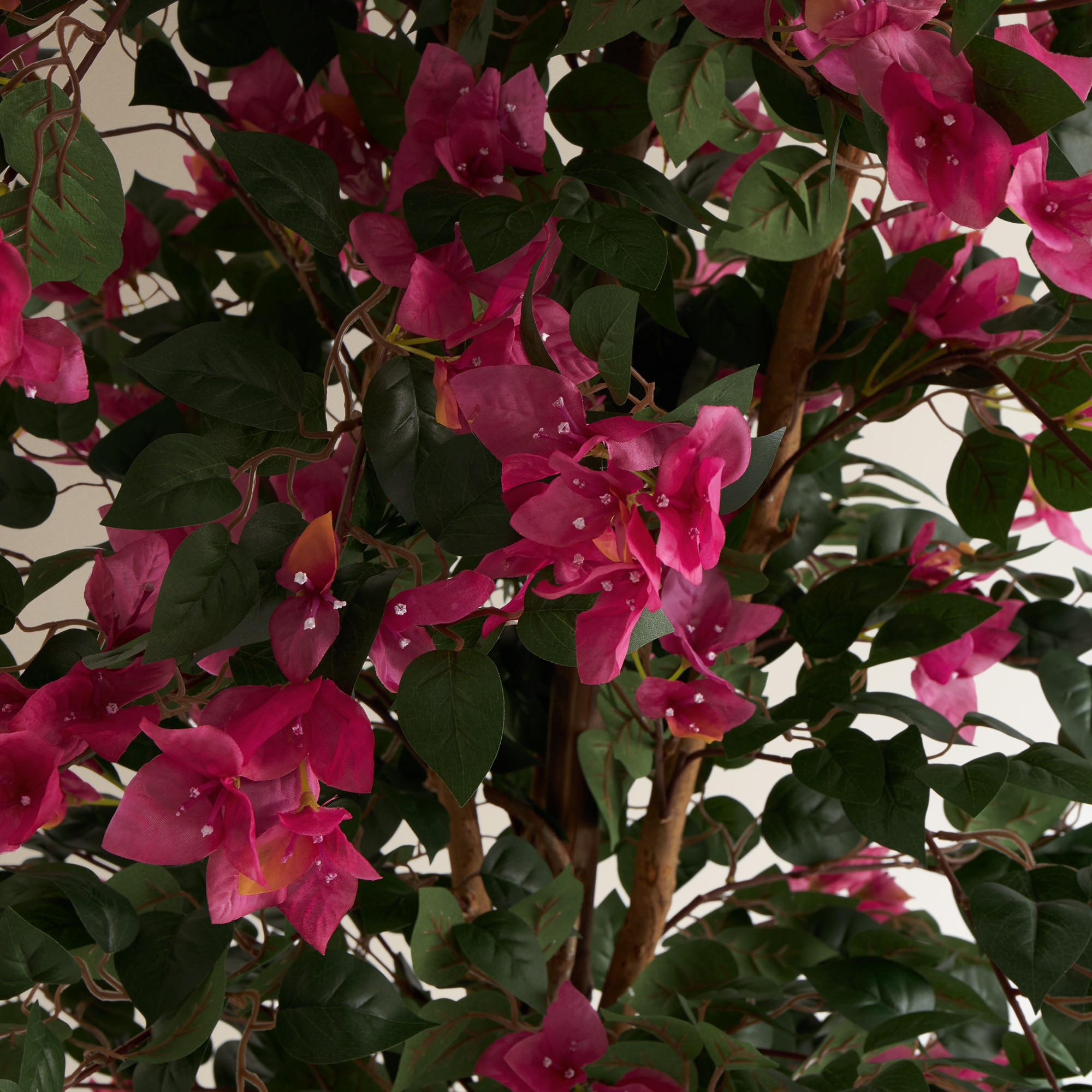 Imagen 2 de Árbol artificial de Buganvilla en maceta El Corte Inglés - Fucsia Fucsia