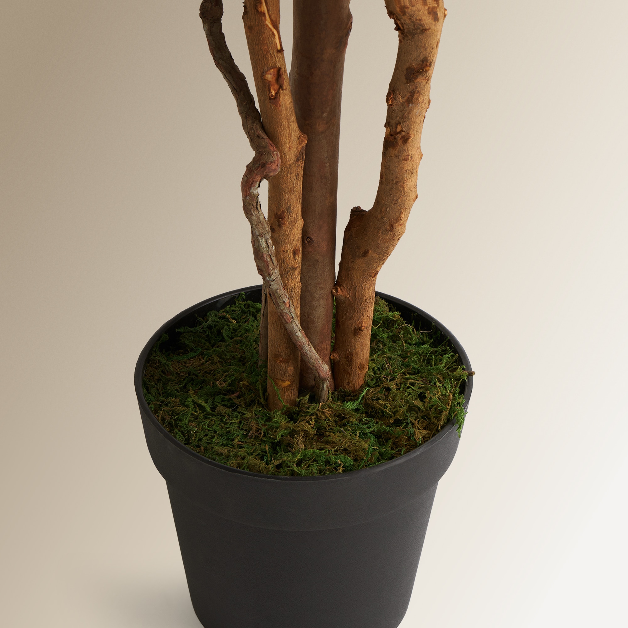 Imagen 3 de Árbol artificial de Buganvilla en maceta El Corte Inglés - Fucsia Fucsia