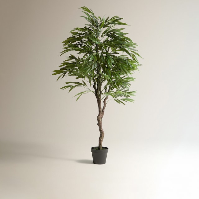 Imagem 0 de Árvore Artificial Eucalipto Nicoli