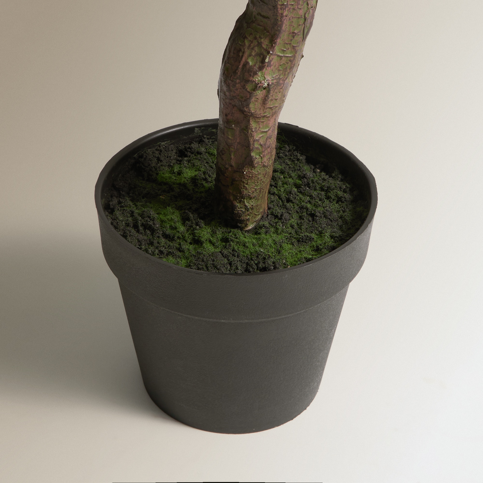 Árvore Artificial Eucalipto Nicoli Verde-3