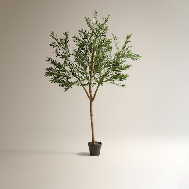 Imagem 0 de Oliveira Artificial