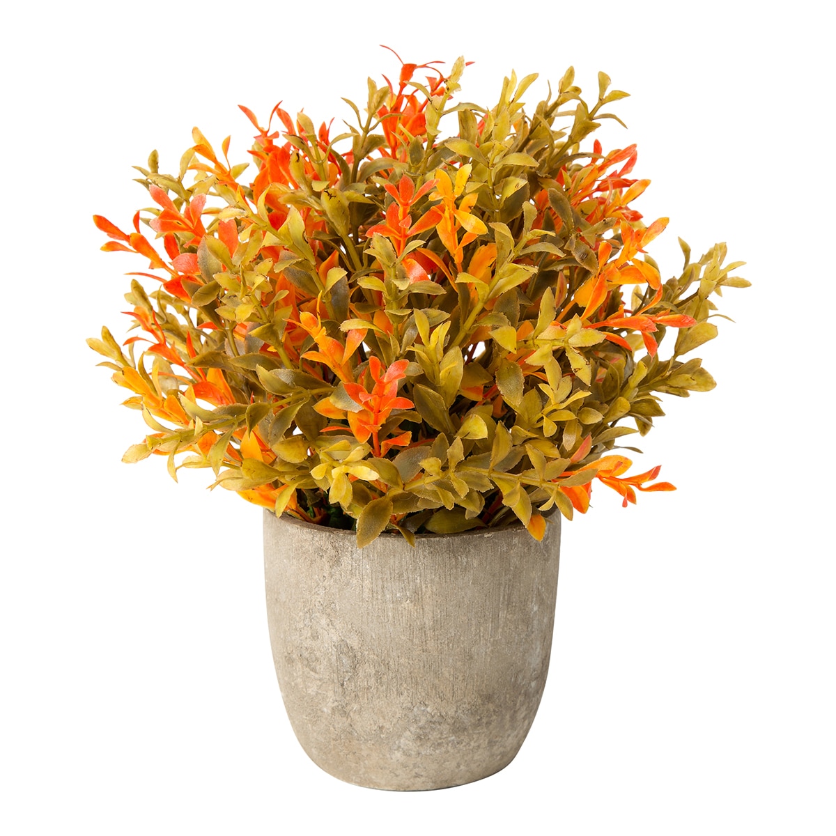 Imagem 0 de Planta artificial Buxo em vaso de cimento