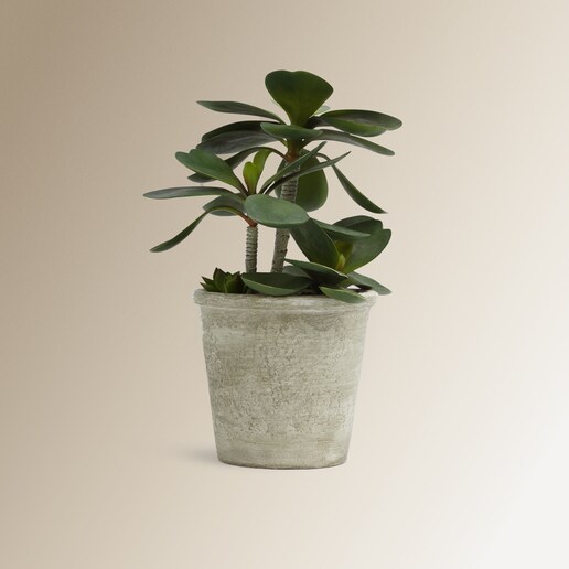 Planta artificial hojas verdes El Corte Inglés