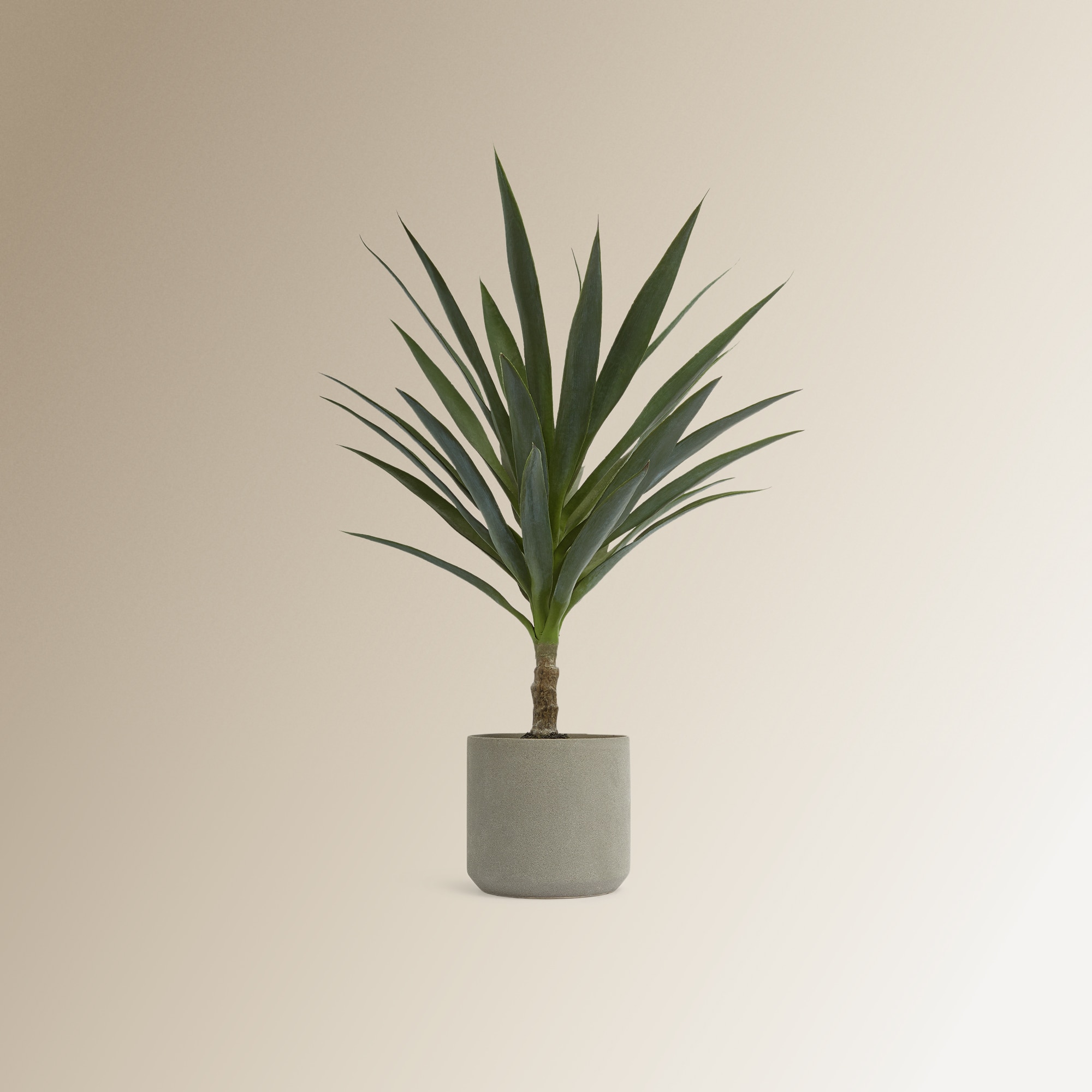 Imagem 0 de Planta artificial de Heneken