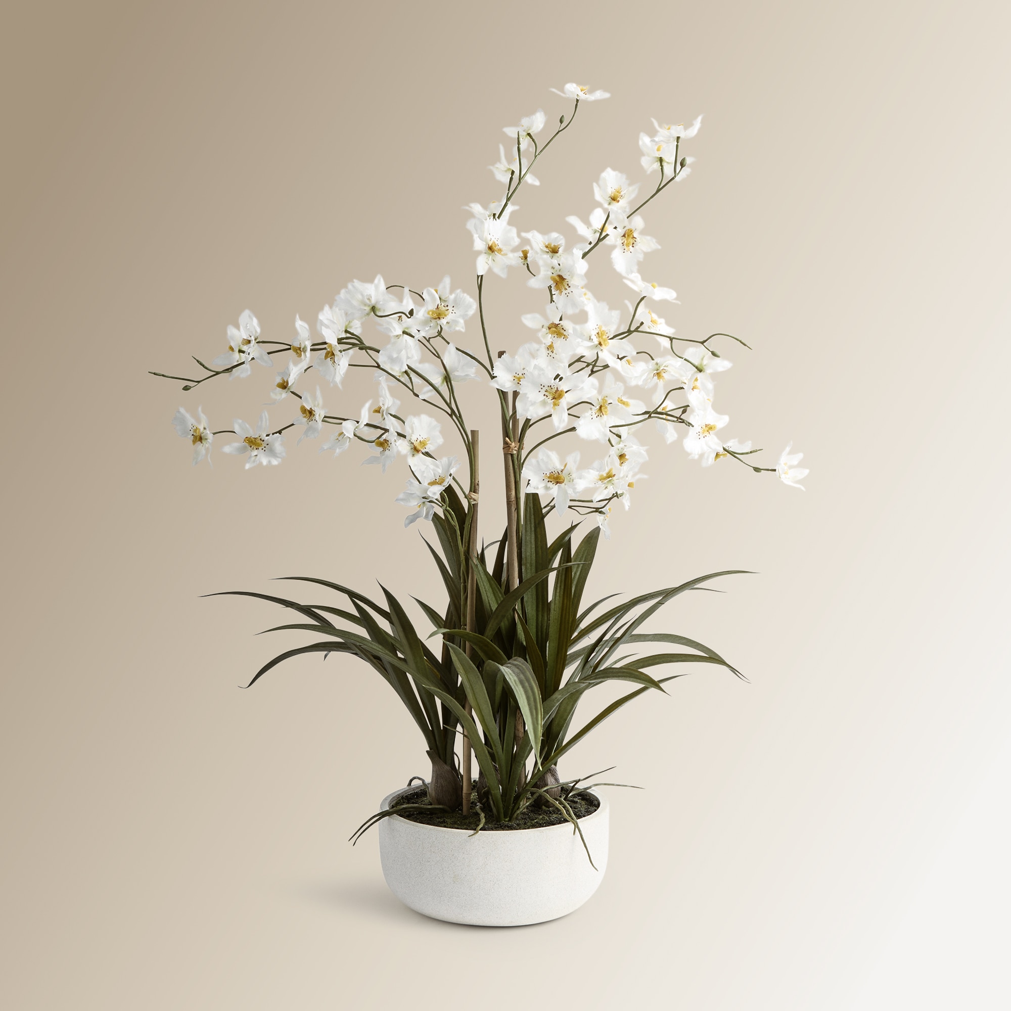 Imagem 0 de Planta artificial orquídea com base natural