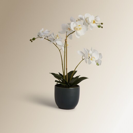 Planta artificial Orquídea en maceta El Corte Inglés