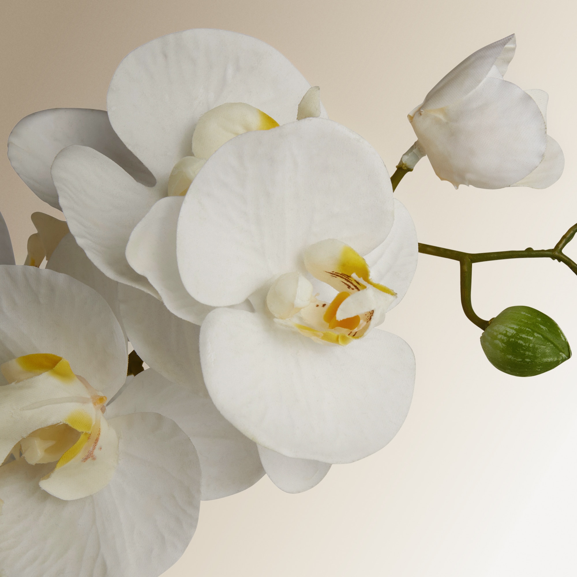 Planta artificial Orquídea en maceta El Corte Inglés - Crema Crema-2