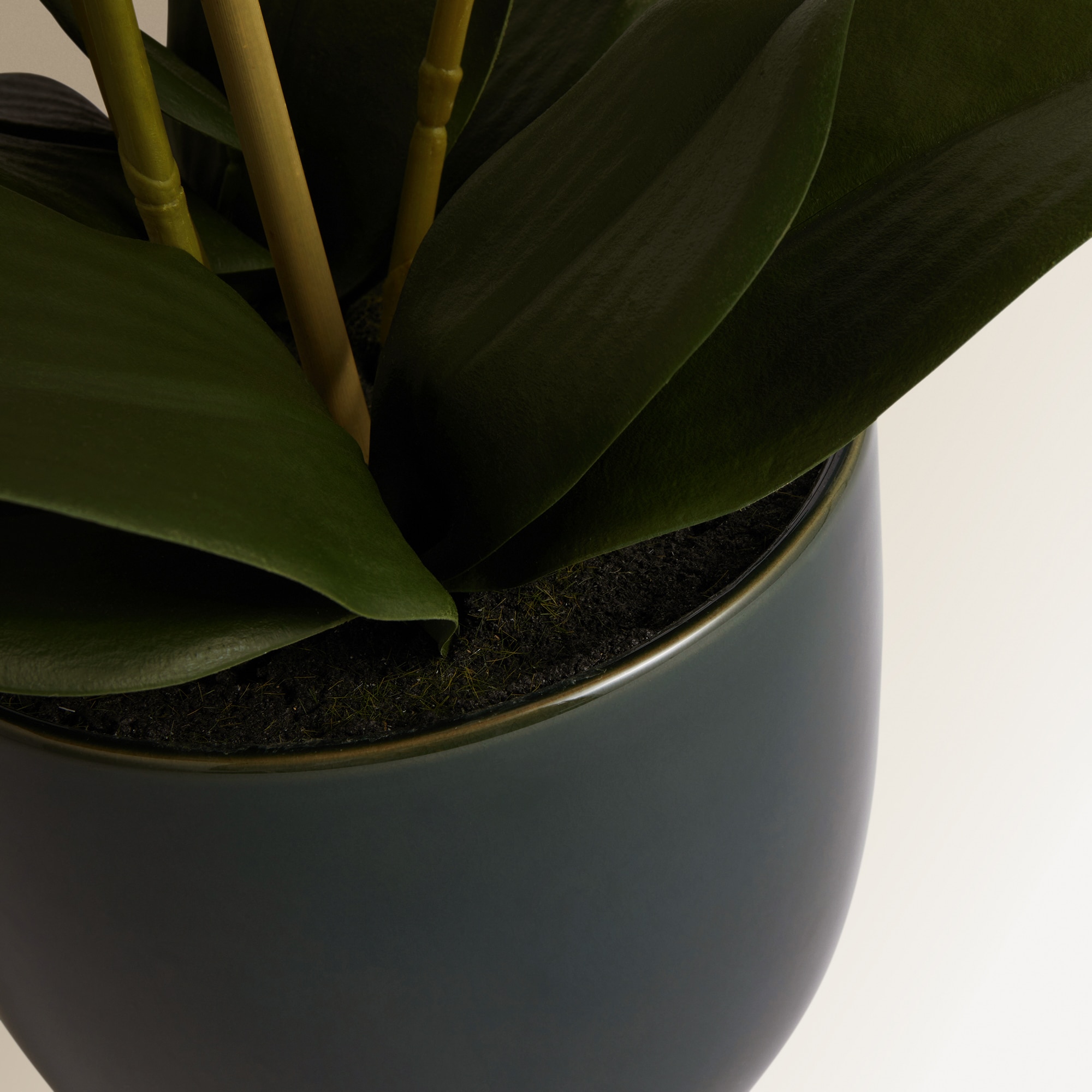 Planta artificial Orquídea en maceta El Corte Inglés - Crema Crema-3
