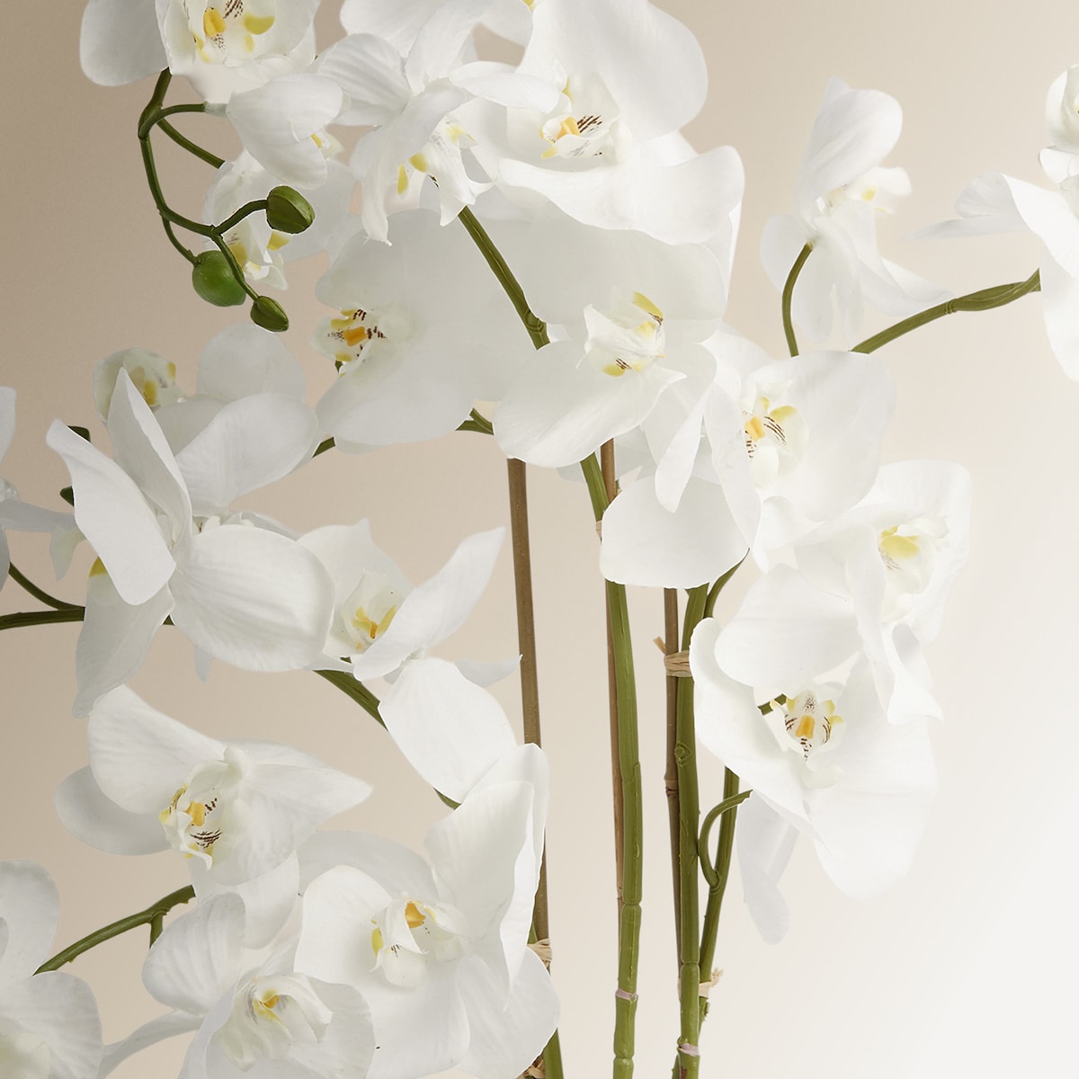 Planta artificial Orquídea sobre base natural El Corte Inglés Blanco-2