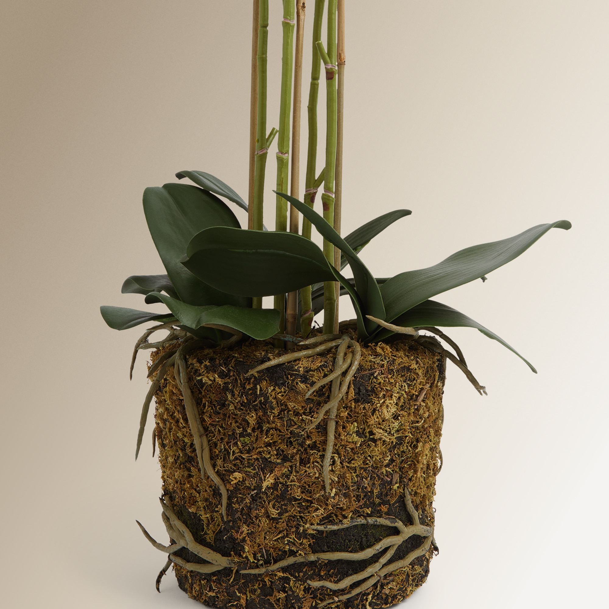 Planta artificial orquídea sobre base natural Branco-3