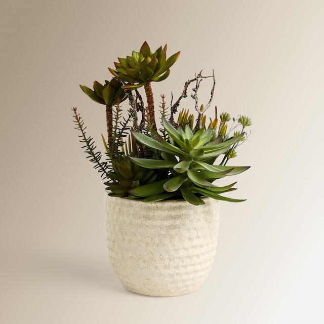 Imagen 0 de Planta artificial Ceram Relie El Corte Inglés