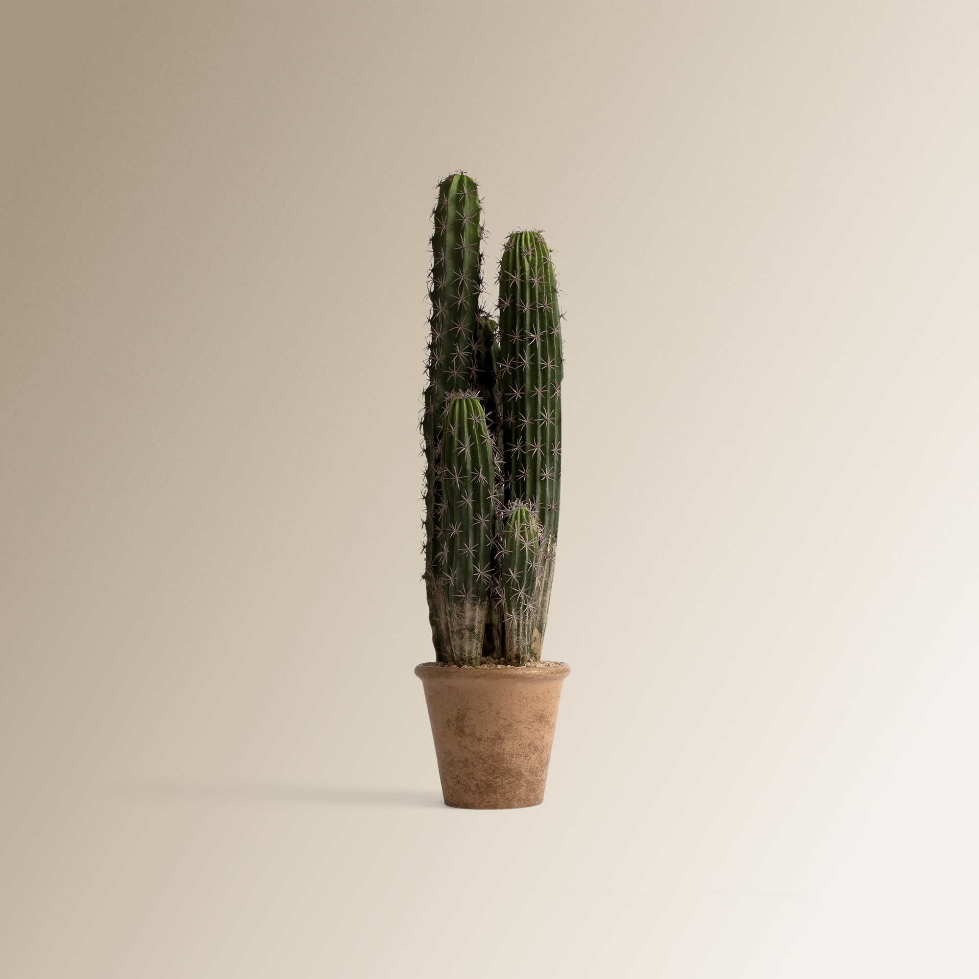 Imagem 0 de Cacto artificial