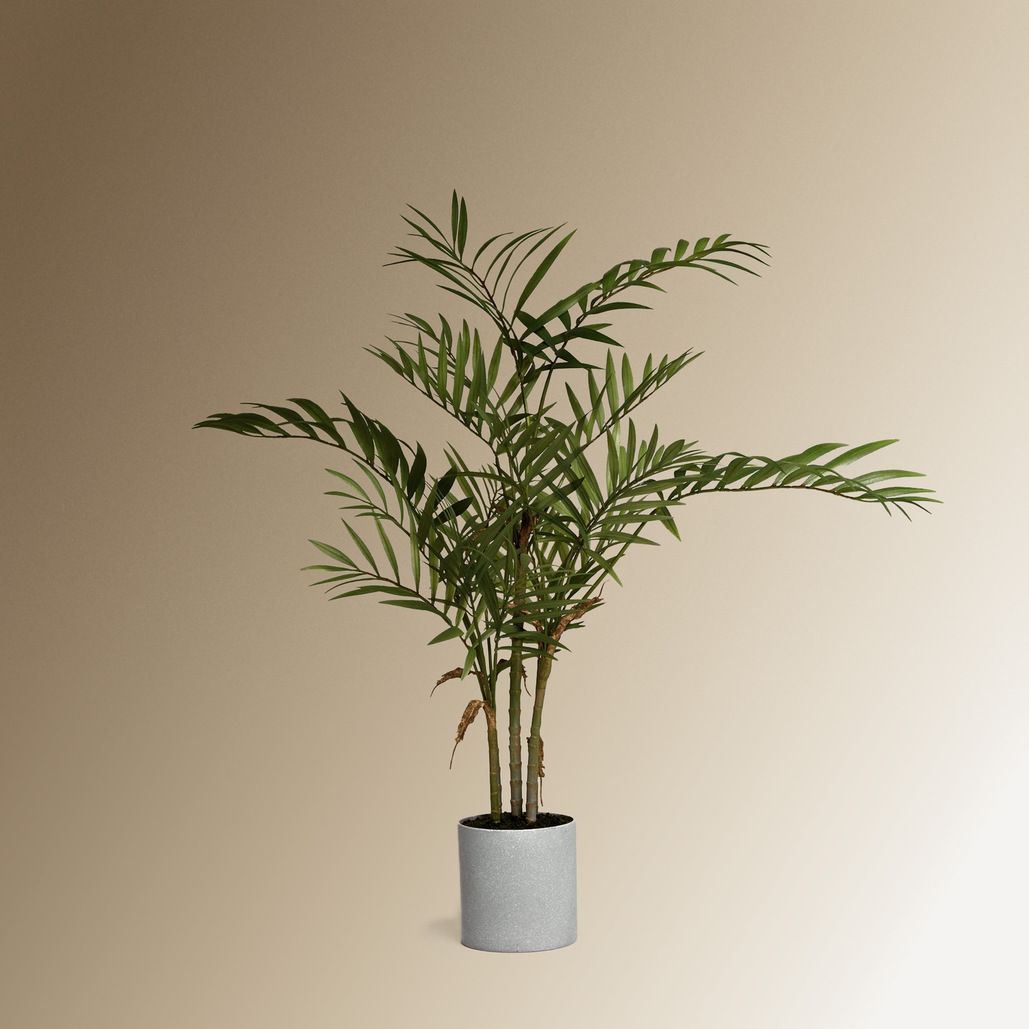 Planta Artificial Camadorea Verde-1