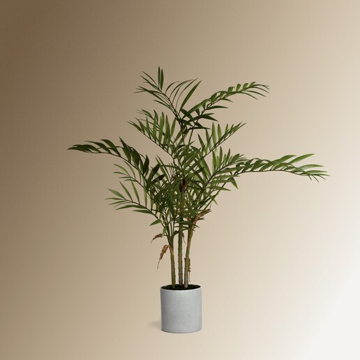 Planta artificial Camadorea El Corte Inglés