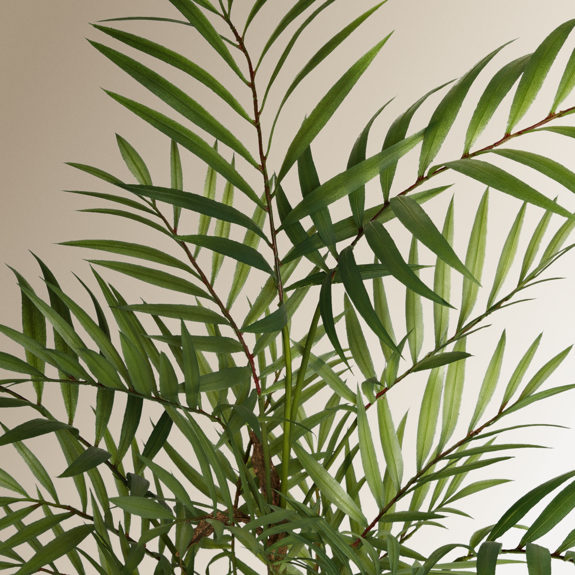 Planta Artificial Camadorea Verde-2