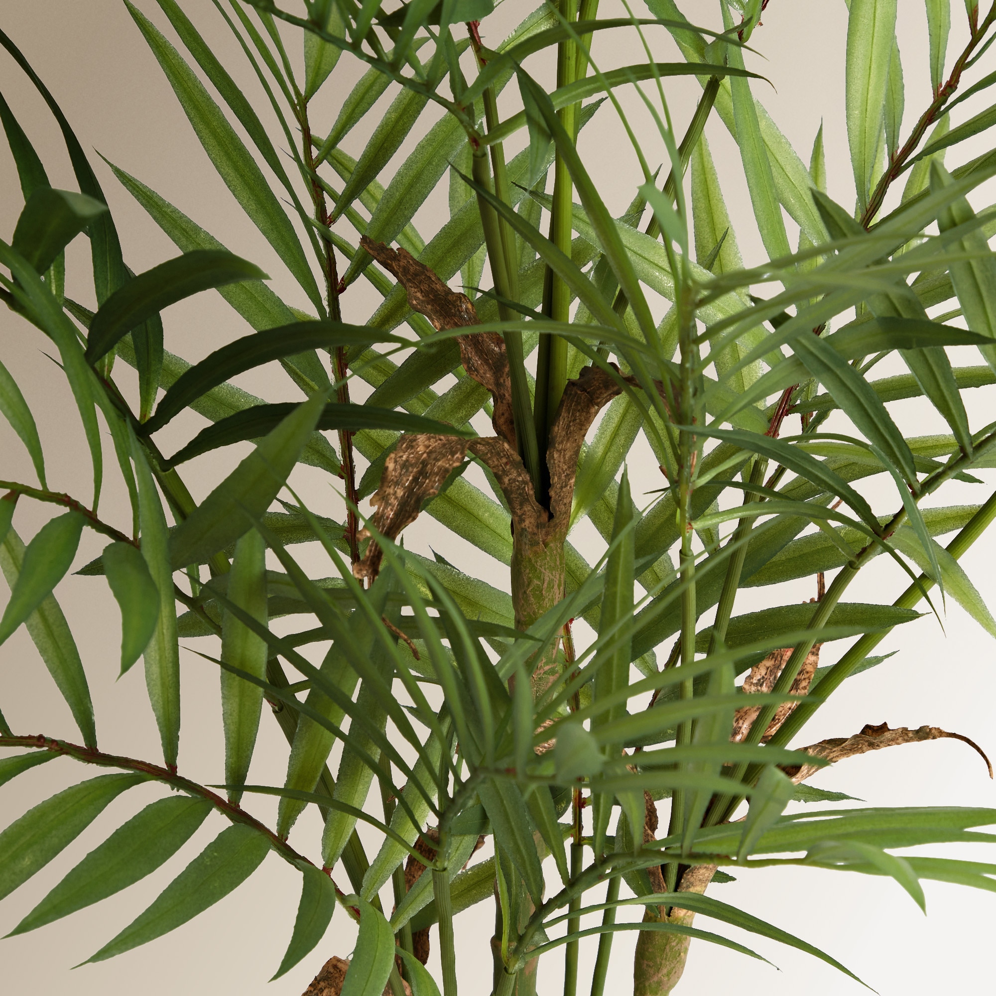 Planta Artificial Camadorea Verde-3