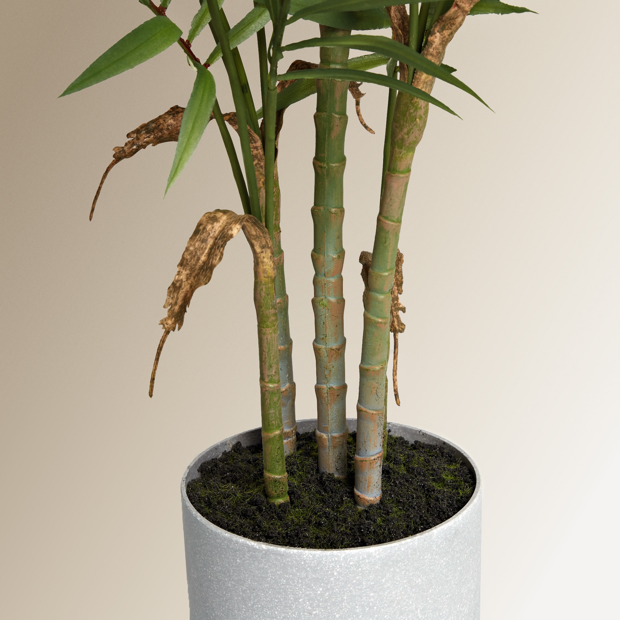 Planta Artificial Camadorea Verde-4