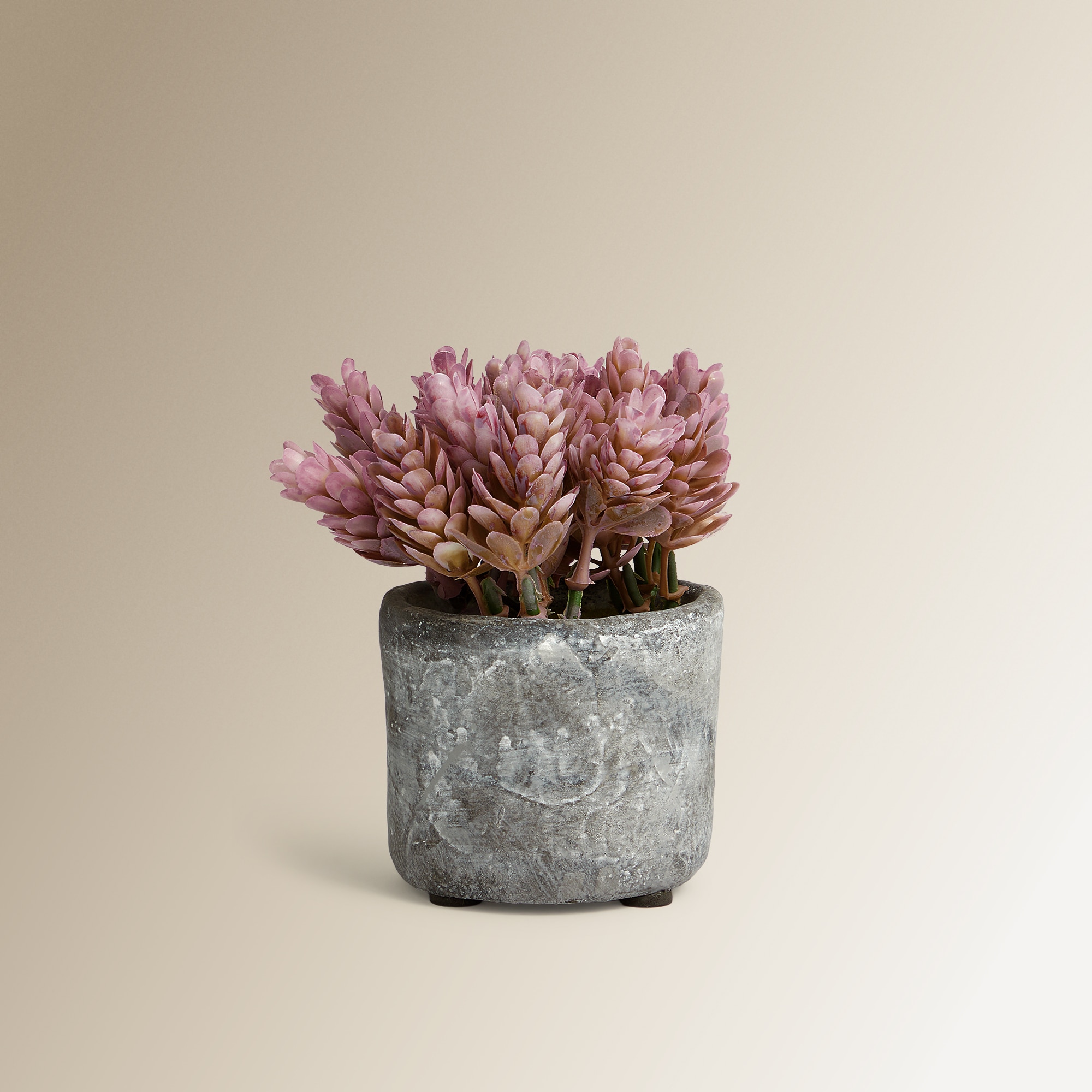 Imagen 0 de Planta artificial Boj en maceta de cemento Nuestro Mejor Precio - El Corte Inglés