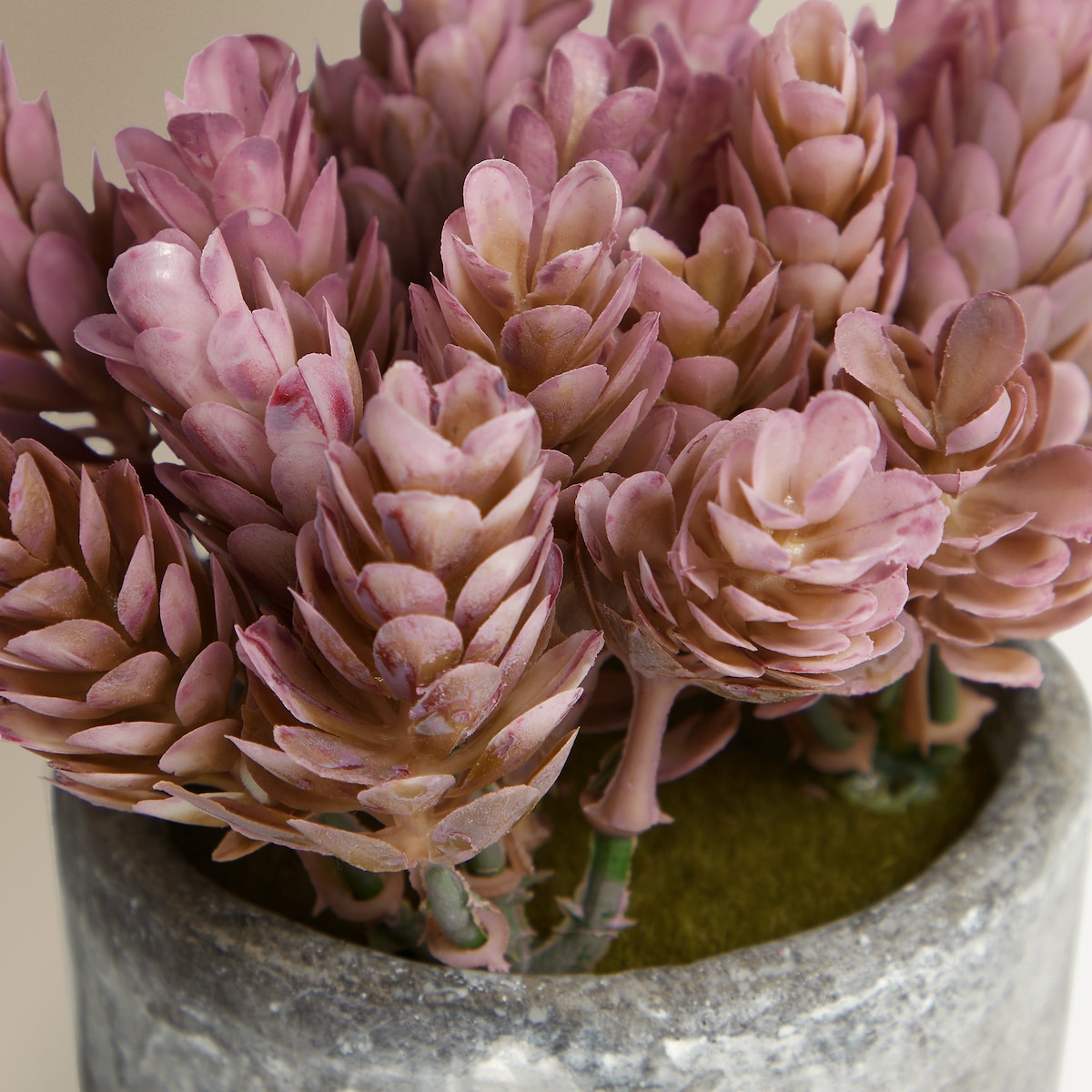 Planta artificial Buxo em vaso de cimento Lilás-2