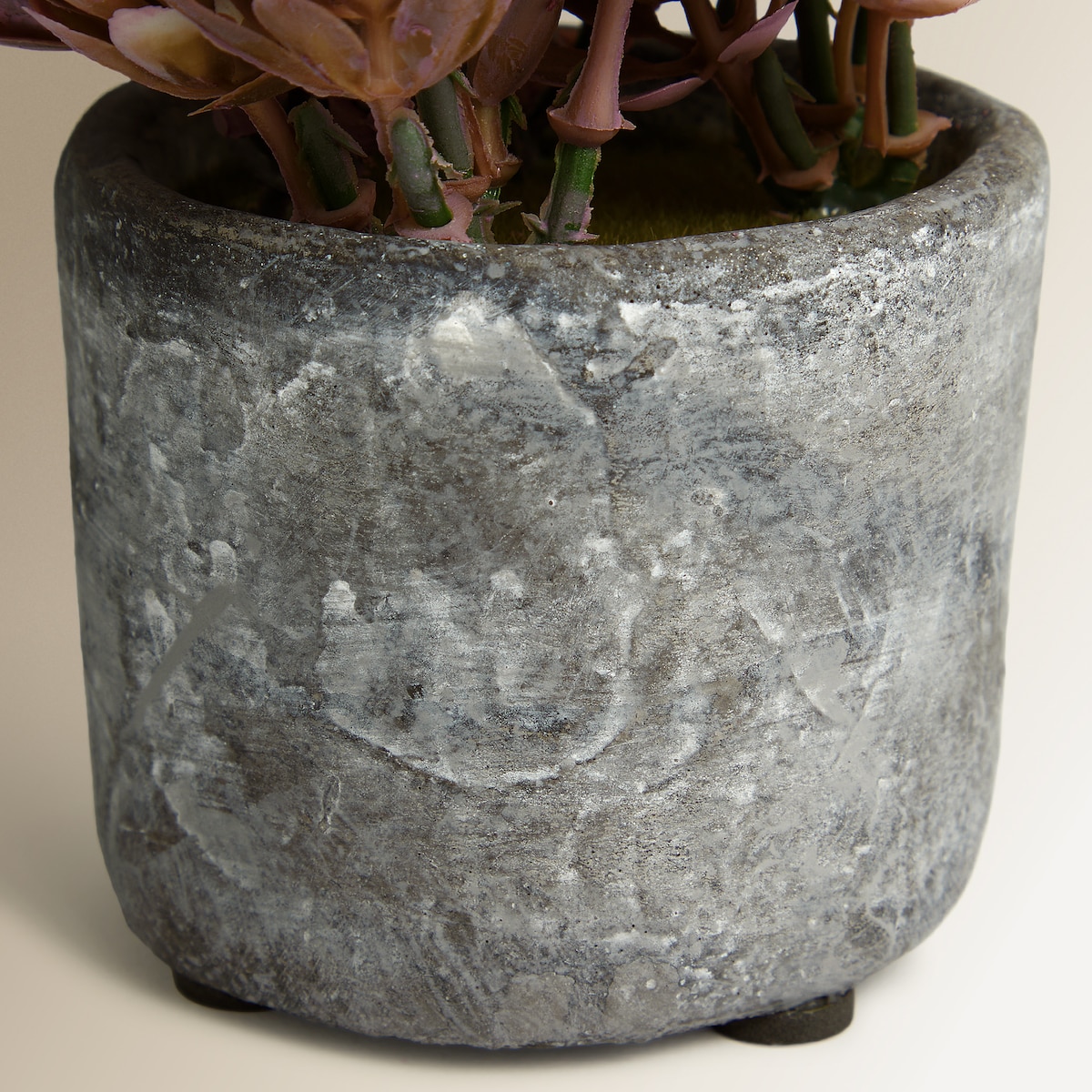 Planta artificial Buxo em vaso de cimento Lilás-3