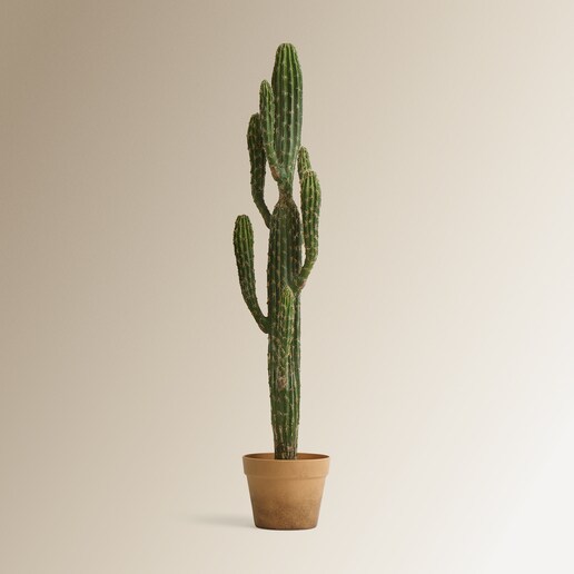 Planta artificial Cactus con macetero El Corte Inglés