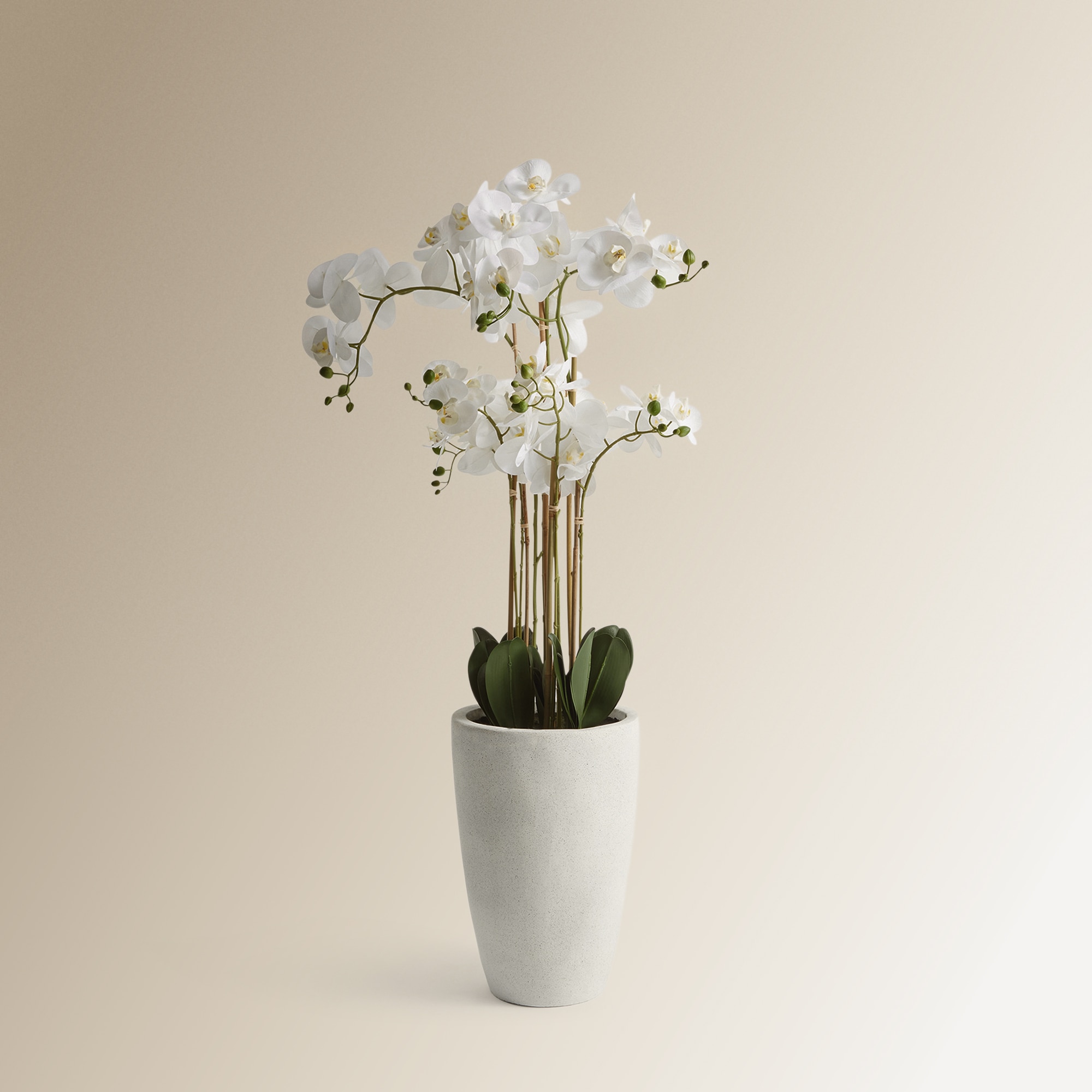 Planta artificial Orquídea con maceta alta El Corte Inglés - Blanco Blanco-1