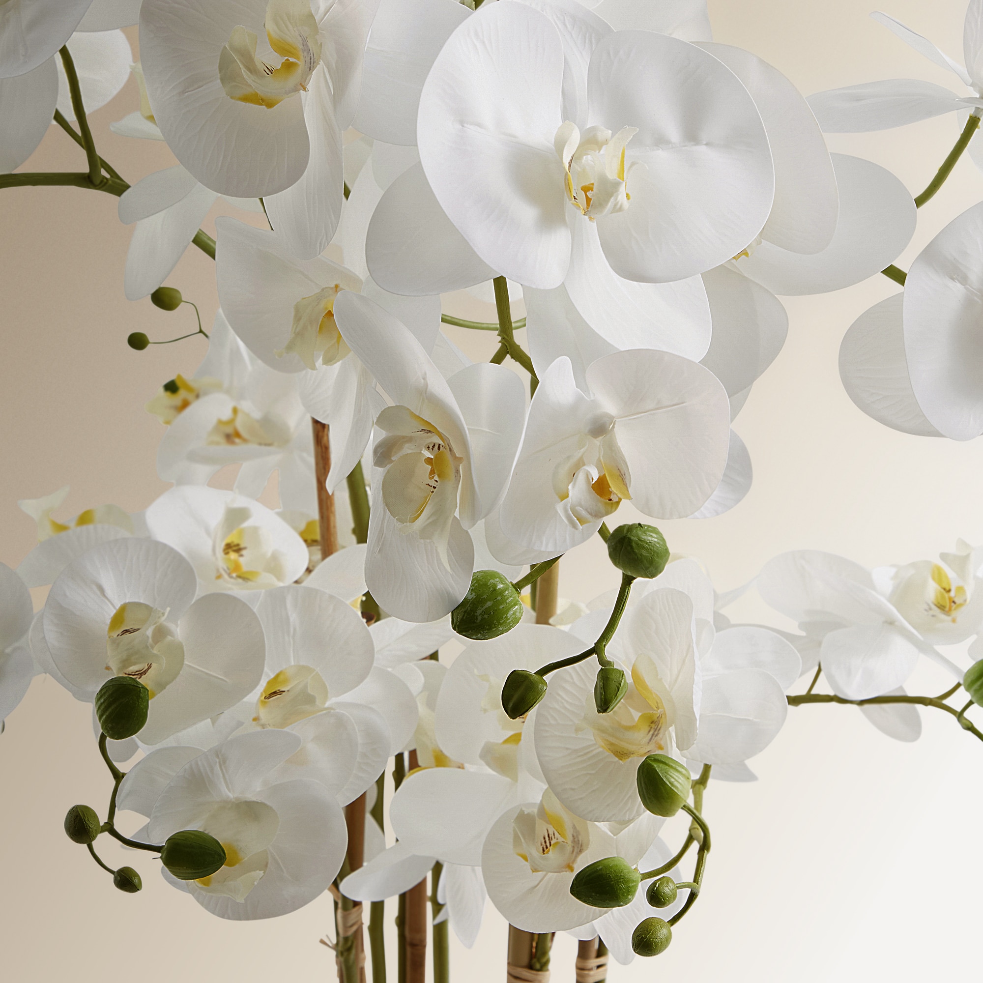 Planta artificial Orquídea con maceta alta El Corte Inglés - Blanco Blanco-2