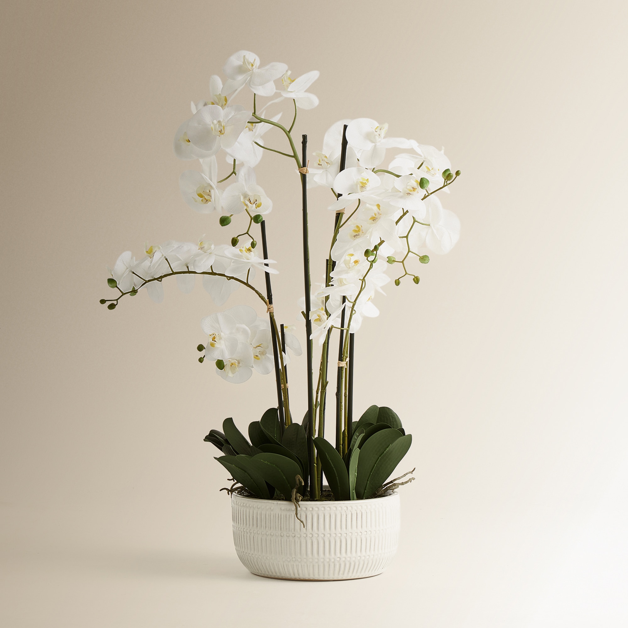 Imagen 1 de Planta artificial Orquídea con maceta baja El Corte Inglés - Blanco Blanco
