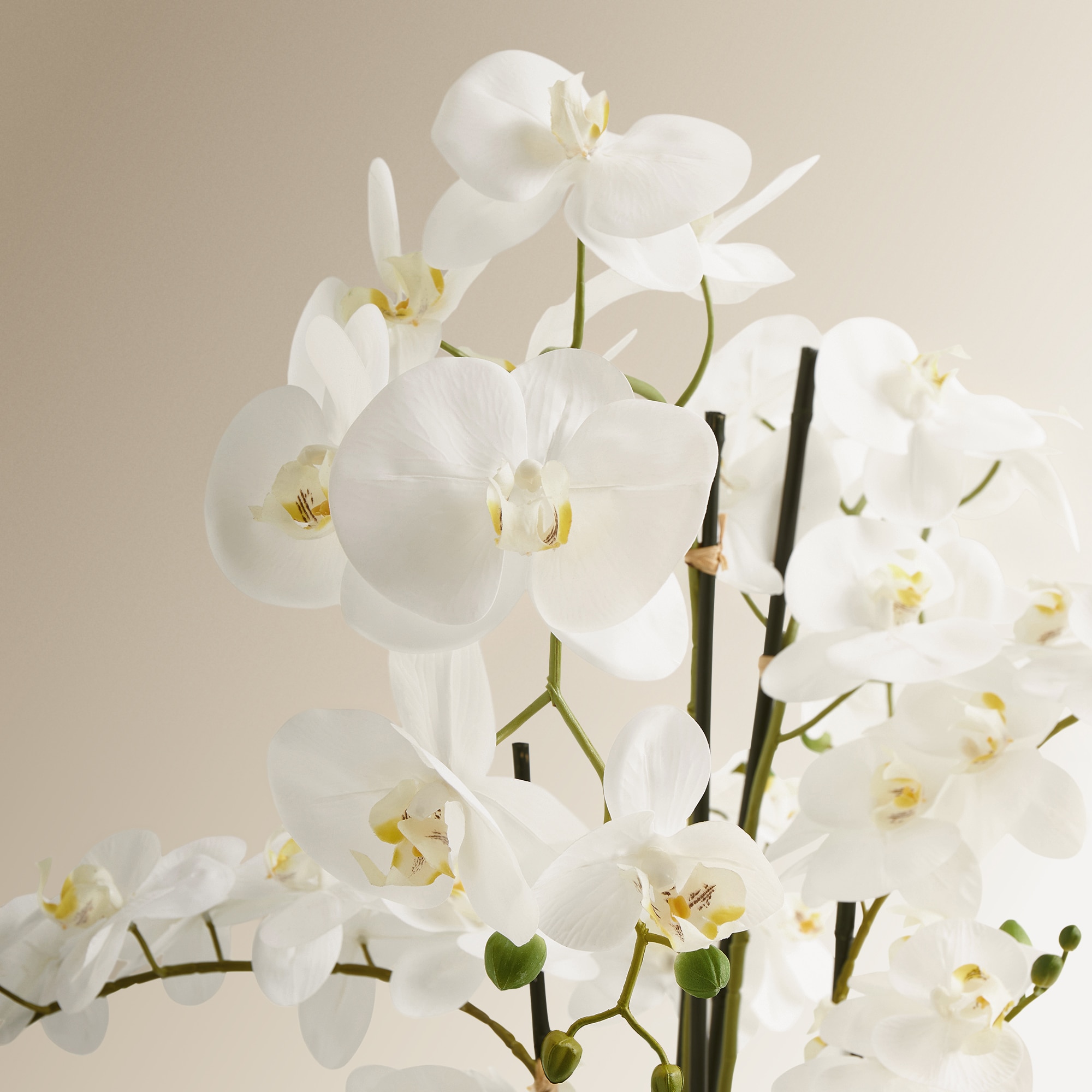 Imagen 2 de Planta artificial Orquídea con maceta baja El Corte Inglés - Blanco Blanco
