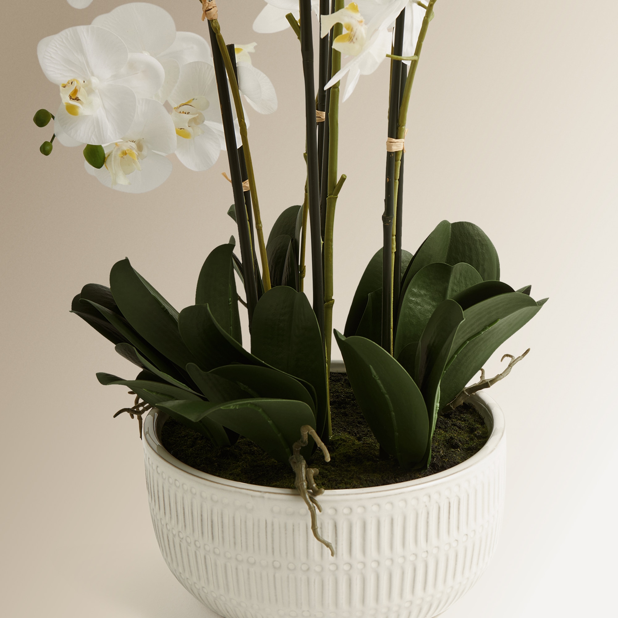 Imagen 3 de Planta artificial Orquídea con maceta baja El Corte Inglés - Blanco Blanco