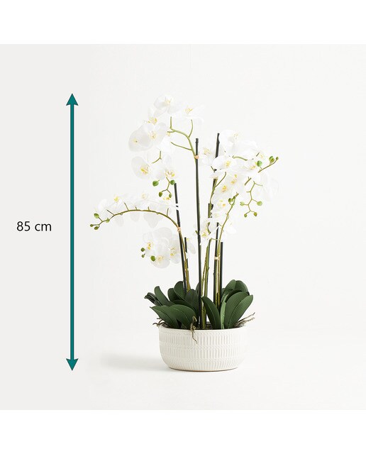 Imagen 4 de Planta artificial Orquídea con maceta baja El Corte Inglés - Blanco Blanco