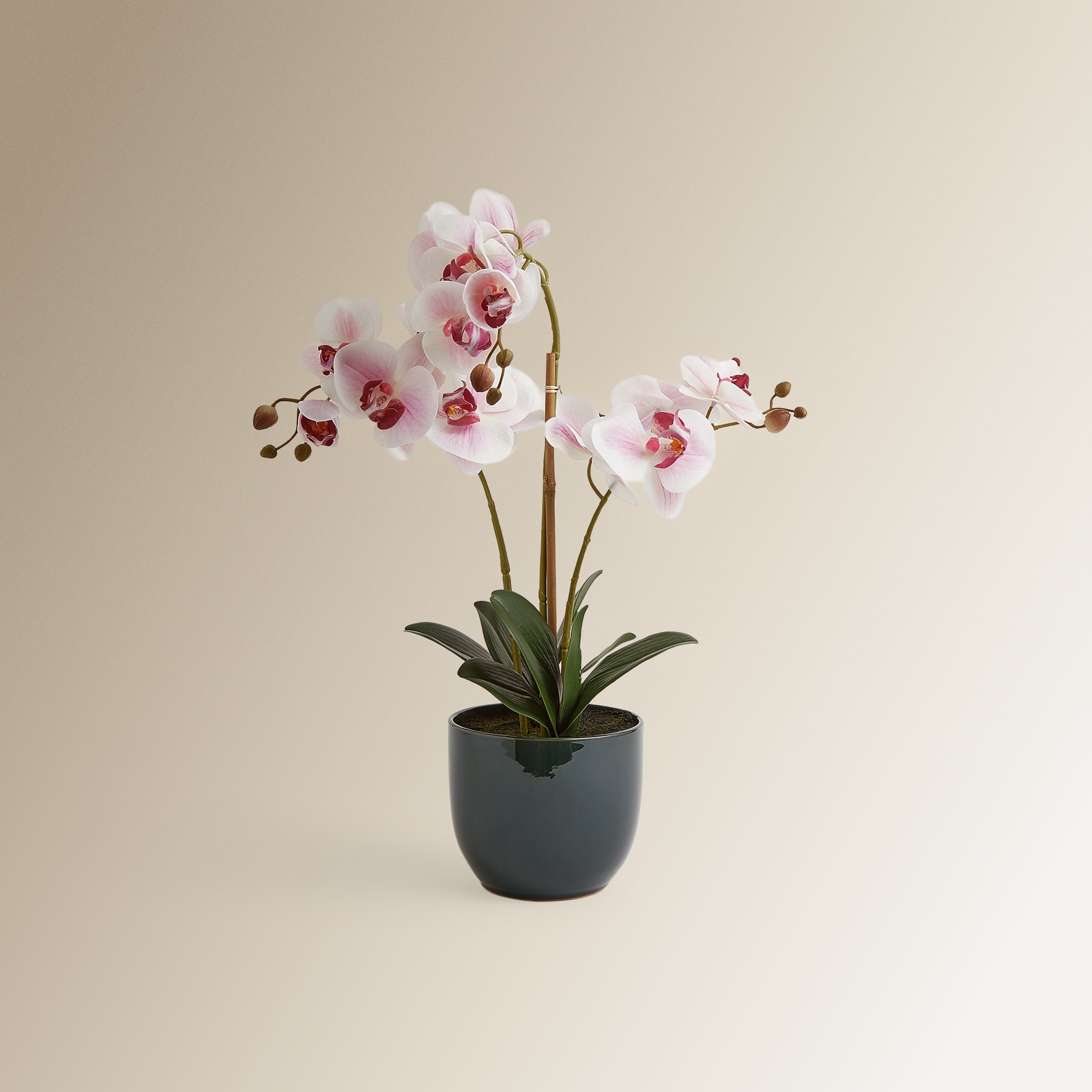 Planta artificial Orquídea en maceta El Corte Inglés - Rosa Rosa-1