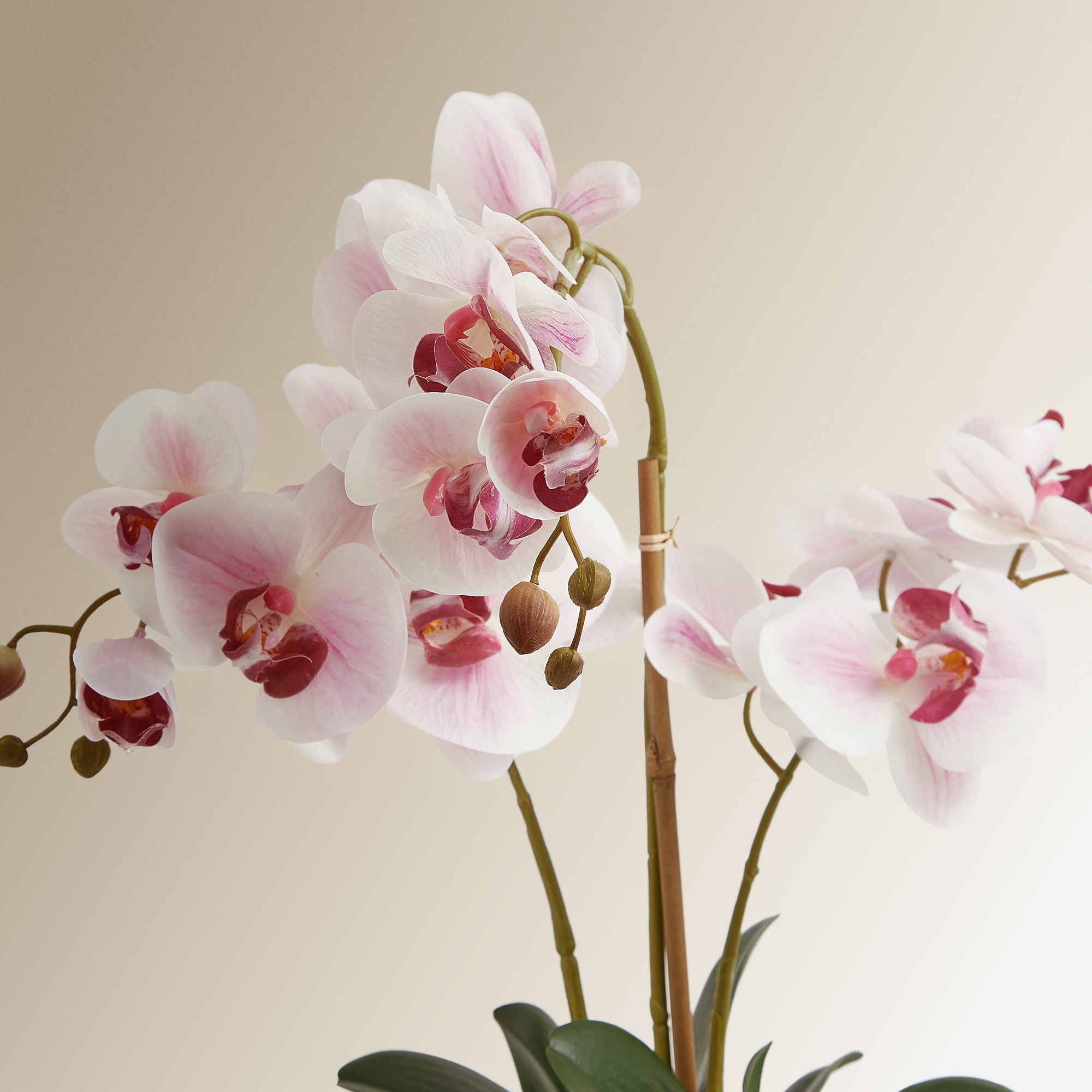 Planta artificial Orquídea en maceta El Corte Inglés - Rosa Rosa-2