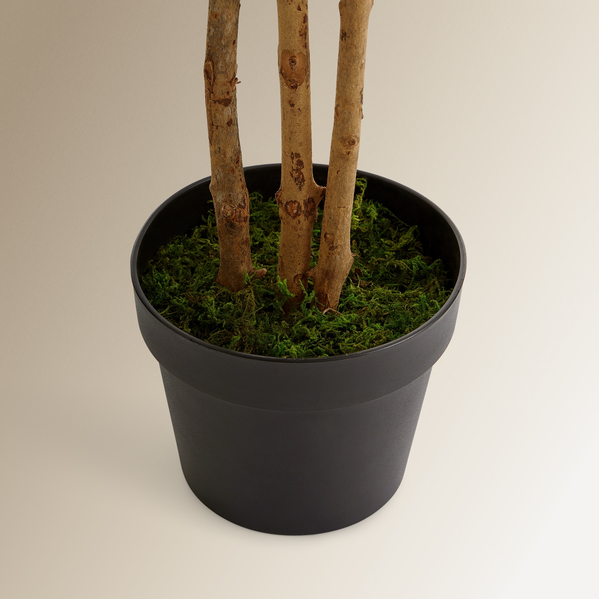 Árbol artificial Eucalipto 125 cm El Corte Inglés - Verde Verde-3