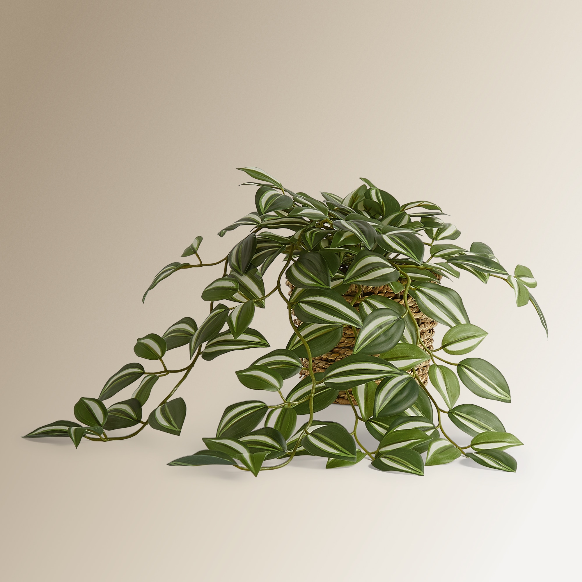 Imagen 1 de Planta colgante artificial Tradescantia en maceta El Corte Inglés - Verde Verde