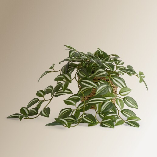 Planta colgante artificial Tradescantia en maceta El Corte Inglés